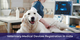 How to Get Veterinary Medical Devices Approved in India – A Complete CDSCO Guide