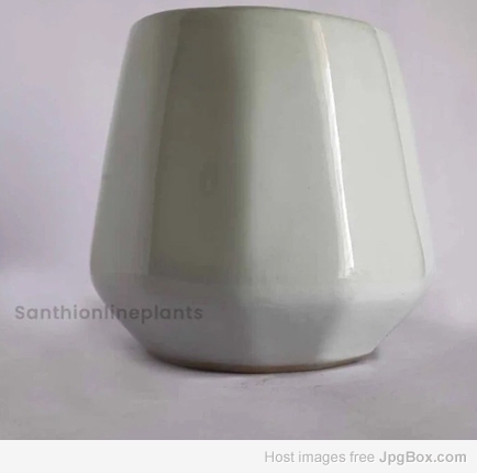 Buy Cone Ceramic White Pot (Small) Online | Elegant Planters India