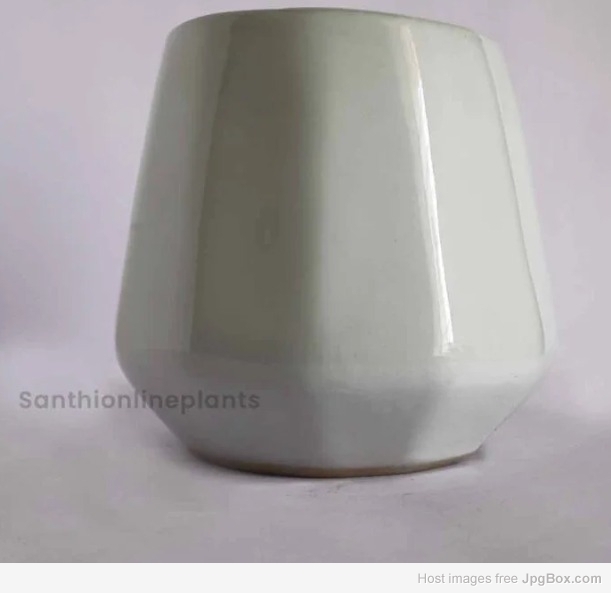 Buy Cone Ceramic White Pot (Small) Online | Elegant Planters India