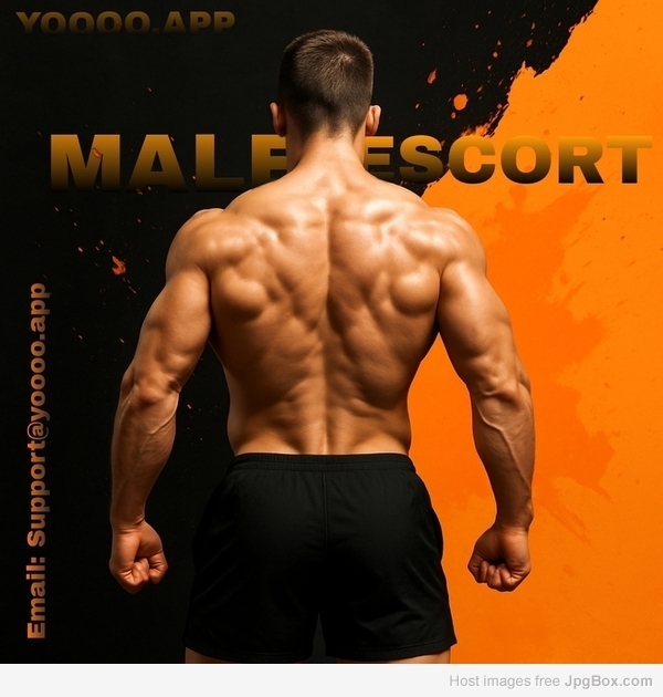 π Start a High-Income Gigolo Job in Jaipur with Yoooo – Private, Fast & Secure
