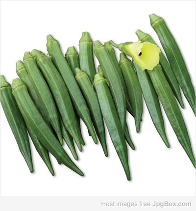 Buy Green Short Bhendi (Okra) Seeds Online | Organic Vegetable Seeds – Santhi Online Plants