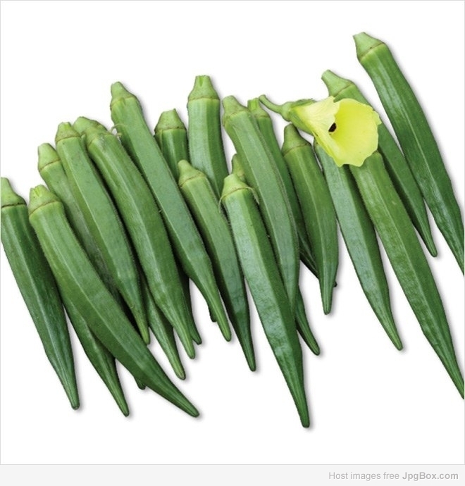 Buy Green Short Bhendi (Okra) Seeds Online | Organic Vegetable Seeds – Santhi Online Plants