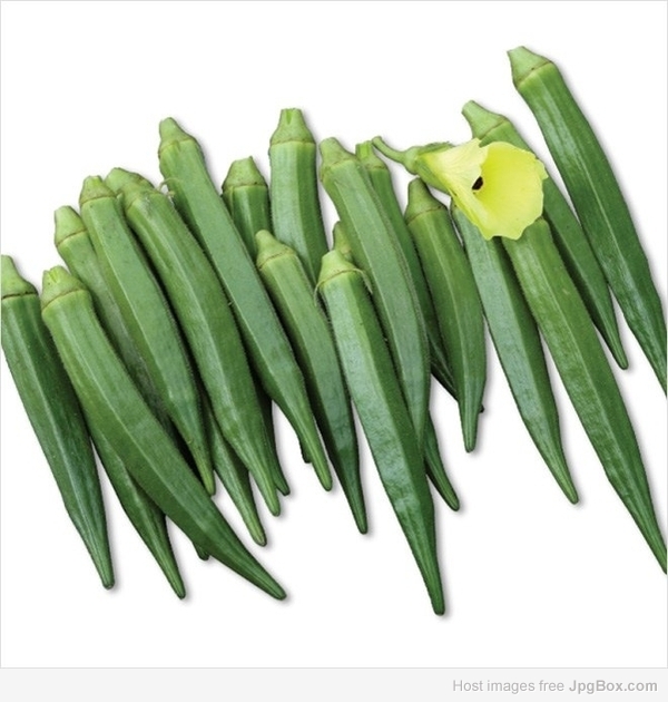 Buy Green Short Bhendi (Okra) Seeds Online | Organic Vegetable Seeds – Santhi Online Plants