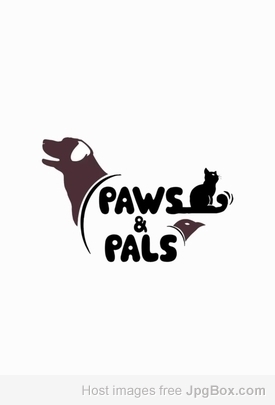 Best pet products in Lahore
