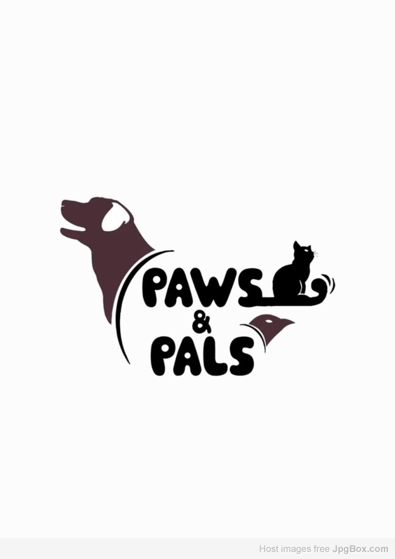 Best pet products in Lahore