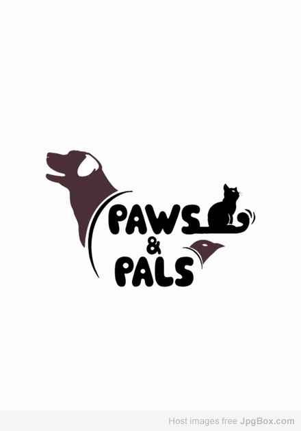 Best pet products in Lahore