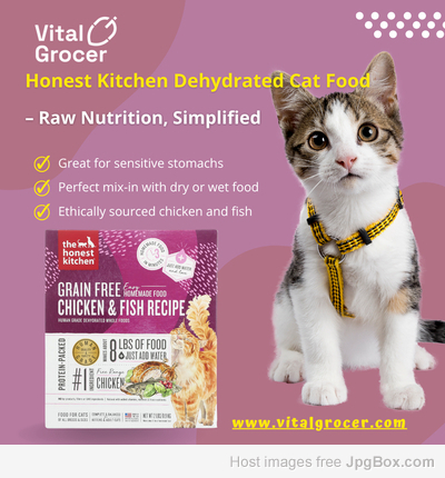 best cat food
