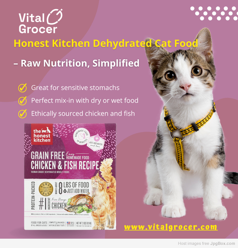 best cat food