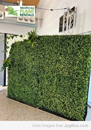 Tropical Plant Rentals Port Stephens