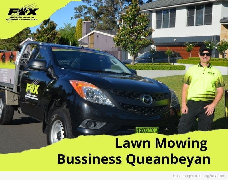 Reliable Lawn Mowing Business Queanbeyan | Fox Mowing