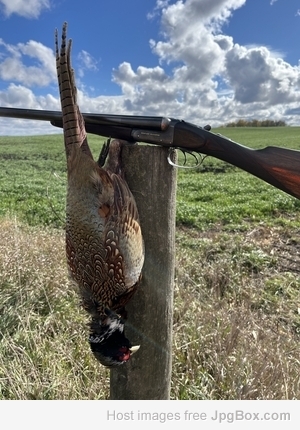 [Linked Image from jpgbox.com]