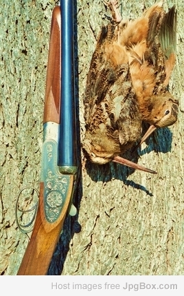 [Linked Image from jpgbox.com]