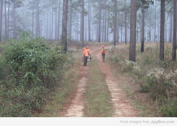 [Linked Image from jpgbox.com]