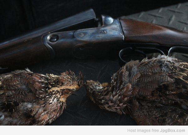 [Linked Image from jpgbox.com]