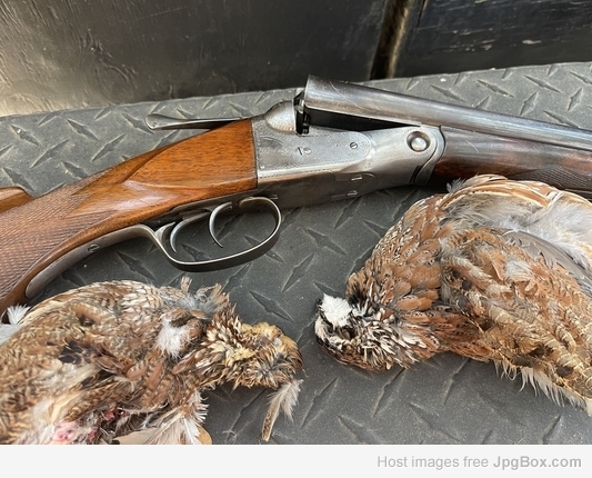 [Linked Image from jpgbox.com]