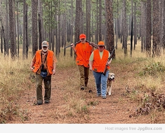 [Linked Image from jpgbox.com]