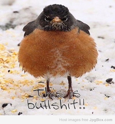 [Linked Image from jpgbox.com]