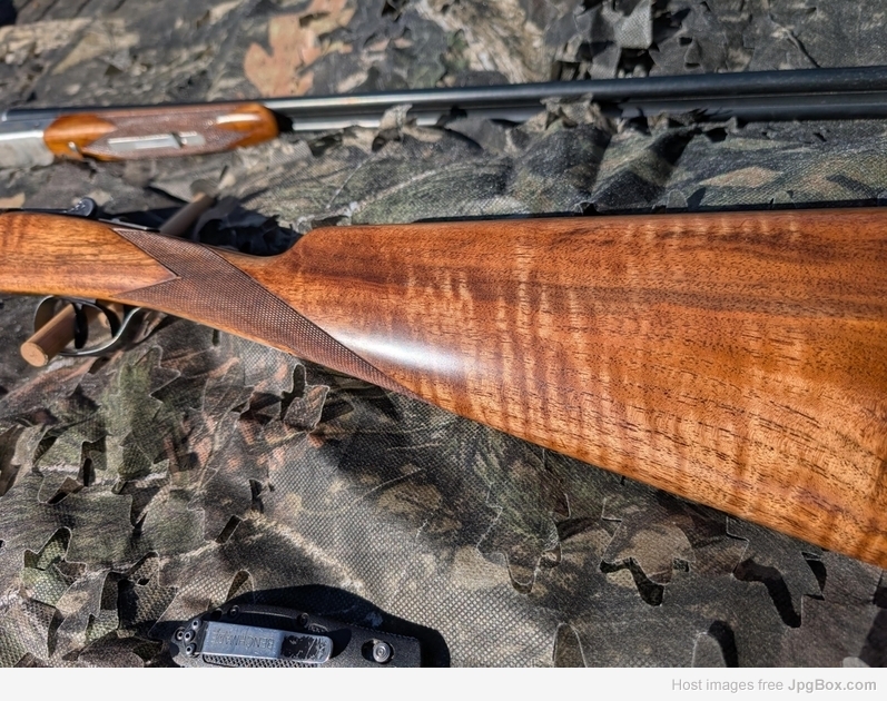 [Linked Image from jpgbox.com]