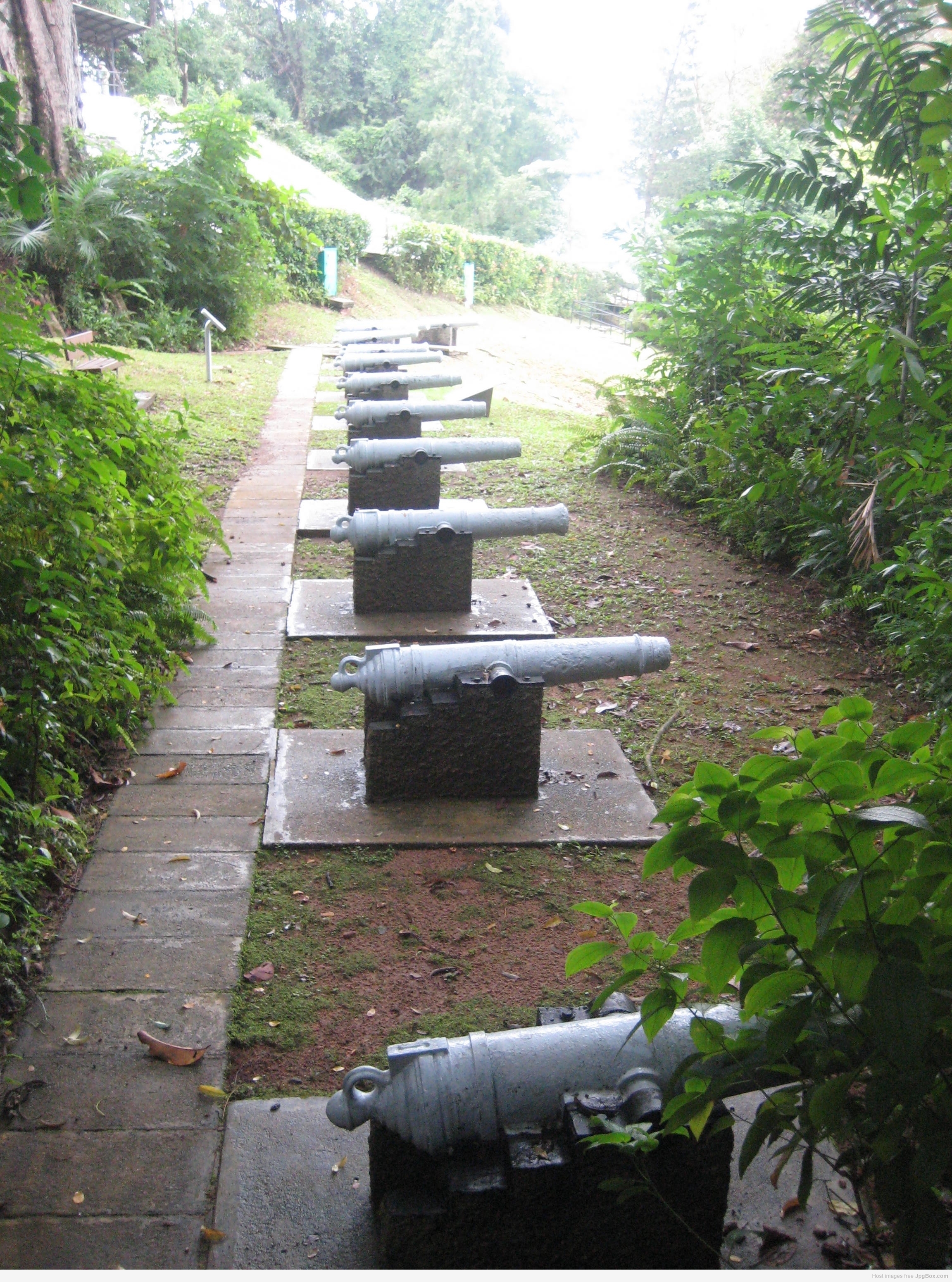 Image 8769
