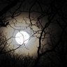 Full moon