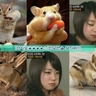 image 10523