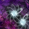 Two Star Galaxies