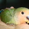 image 10577
