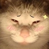 image 10760