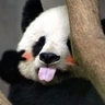 image 10761