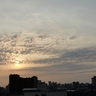 image 11674