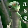 image 12584