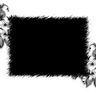 image 13000