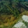 image 13681