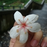 image 13842