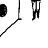 image 13988