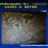 RBC創業說明及培訓幻燈片 (14) Microhydrin微氫的抗氧化功效可通過驗血被立即證實