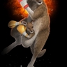 image 14654