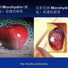 RBC創業說明及培訓幻燈片 (14) Microhydrin微氫強效抗氧化使蘋果保鮮