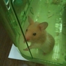 image 14986