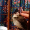 image 15084