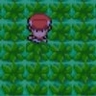 image 15348