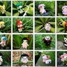 image 15888