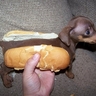 image 17325