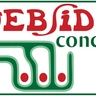 Logo Websideconcept