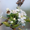 image 17546
