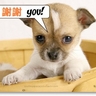 image 17890