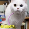 image 17903