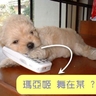 image 17924