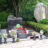 image 19870