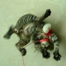 image 22023